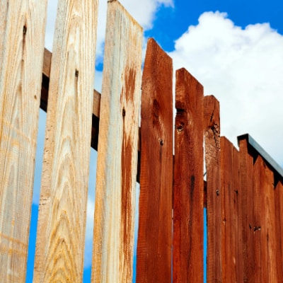 Fence Painting